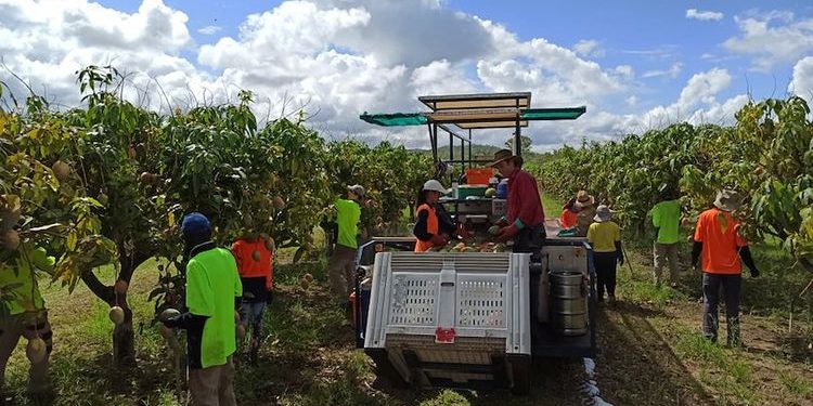 Loker Kerja di Australia