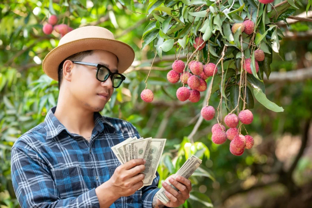 Kerja Petik Buah di Australia
